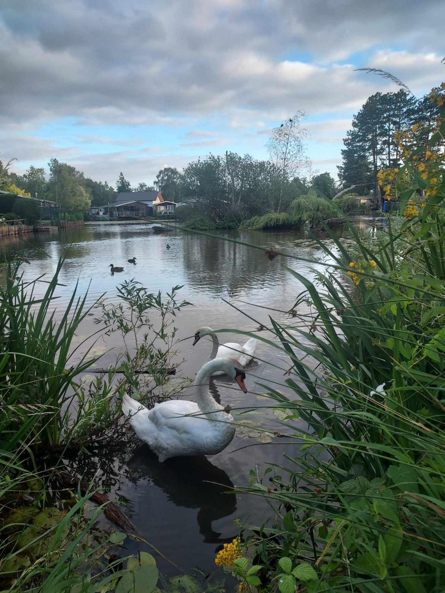 Rustig Gelegen Chalet Kapeki Met Tuin Aan Het Water Geel Esterno foto