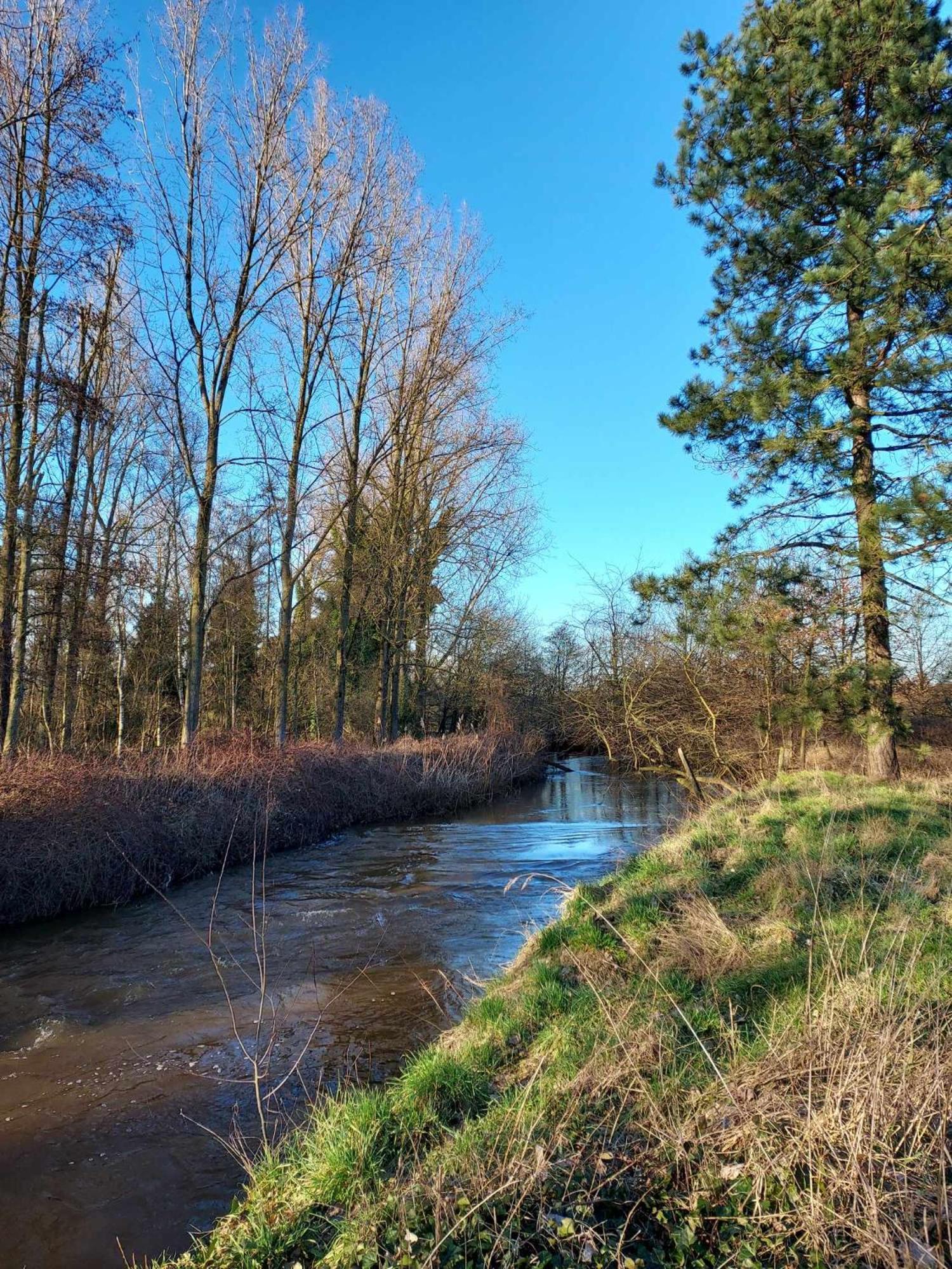 Rustig Gelegen Chalet Kapeki Met Tuin Aan Het Water Geel Esterno foto